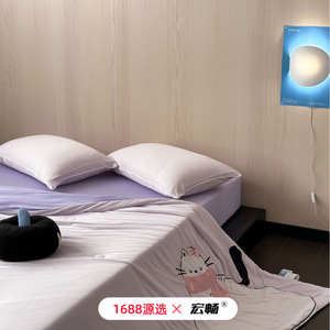 Kids Quilt Ice Silk Cooling Duvet Summer Thin 2-2.5 Jin Cartoon Applique Simple Style For Children Home Use - Product Image 4