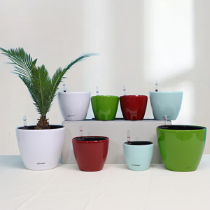 Maceta Redonda Pequeña para Cultivo de Plantas HG-0815-2, Nuevo Diseño, Macetas para Suculentas, Orquídeas, Decoración de Jardín y Hogar - Product Image 6