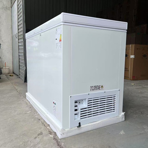 Congélateur horizontal commercial 300L, température unique, congélation profonde, dégivrage manuel, électrique, Guangdong - Product Image 3