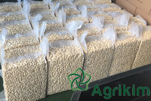 Anacardos crudos orgánicos de alta calidad, grandes grados Premium, certificado HACCP, estándar AFI de origen directo de Vietnam + 84 363 565 928 - Product Image 6