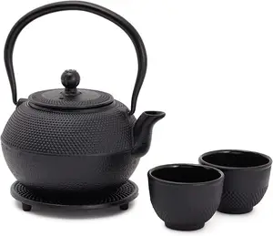 20盎司日本tetsuin铸铁茶壶茶壶，带不锈钢浸泡器，炉灶面安全涂有搪瓷