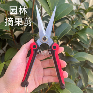 Pinheng Bypass Pruning Shears Stainless Steel 20-30 Mm Rubber Handle For Fruit Tree Trimming - Product Image 2