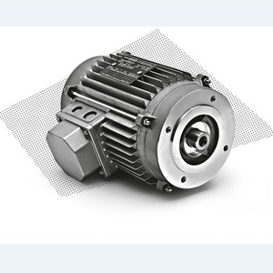 มอเตอร์ไฟฟ้า Becomd AC DC เซอร์โว ยูนิเวอร์แซล ผลิตจากเหล็ก ผลิตในอิตาลี - Product Image 3