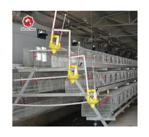 Customized A Type Multi-layer Chicken Coop Poultry Farm Equipment Layer Chicken Cage System