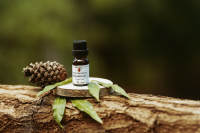 Huile de Saro Pure en Gros Cinnamosma Fragrans Durée de Conservation de 3 Ans Conditionnement en Bidon Récolte Limitée Parfum de Luxe