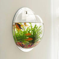Aquarium mural compact en acrylique et plastique de 250 ml avec fixation par ventouse pour poissons Betta et plantes hydroponiques – Décoration