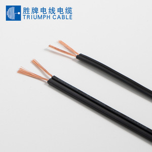 Triumph <b>Cable</b> Spt 1 <b>Power</b> Cord Tinned Double Parallel Wire Pure Copper Black Flat <b>Cable</b> For Electrical Equipment Internal Parts - Product Image 1