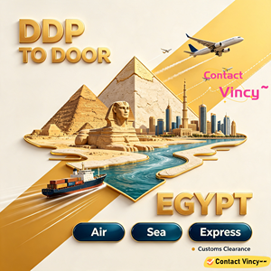 Servicio <span class=keywords><strong>de</strong></span> Registro ACID, Agente <span class=keywords><strong>de</strong></span> Envío <span class=keywords><strong>de</strong></span> China a <span class=keywords><strong>Egipto</strong></span> DDU, Servicio <span class=keywords><strong>de</strong></span> Aduanas - Product Image 5
