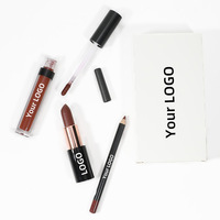 Kit de rouge à lèvres liquide mat 3 en 1 cosmétique longue durée personnalisé de marque privée et ensemble de crayon à lèvres vente en gros