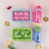 Ensemble de boîte à lunch et gourde de camping pour enfants, 16 oz, écologique, sans BPA, anti-fuite, avec paille intégrée