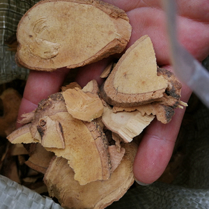 <span class=keywords><strong>Fei</strong></span> <span class=keywords><strong>Zhang</strong></span> Xue ราก Asiatic Toddalia ธรรมชาติ,ตัดก้าน Asiatica แห้งสำหรับสมุนไพร - Product Image 5