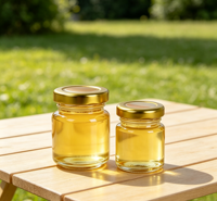 Stoples Madu Kaca Mini dengan Tutup Emas, Stoples Kaca Kecil Kosong untuk Madu, Selai, Suvenir Pernikahan, Penyimpanan Makanan