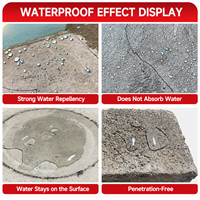 Scellant silane liquide à appliquer au pinceau, excellente performance de pénétration hydrophobe pour la protection imperméable du béton et de la maçonnerie