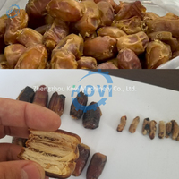 Automatische Date Pitting Machine Kleinschalige Palm Dadels Pitting Machine Hot Sale Rode Dadels Fruit Pitting Core Remover