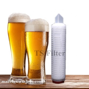 0,22 <span class=keywords><strong>um</strong></span> hidrófilo cartucho filtro PES para bebidas y vino crítica de filtración - Product Image 4