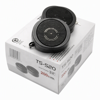 Desain Baru Pabrik Super Treble Tweeter Speaker Daya Tinggi 200W Modifikasi Tweeter Mobil TS-S20