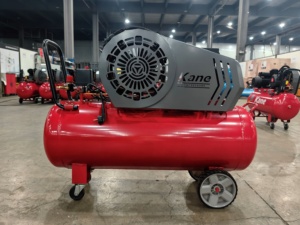 Factory Direct Sales Mini 73kg <b>100L</b> <b>Air</b> <b>Compressor</b> Portable Screw <b>Compressor</b> with Pump Core Component Price Advantage - Product Image 2