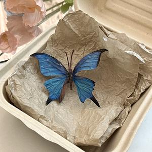 甜美风格春夏新款设计蝴蝶发夹配件女童人造蝴蝶发夹耐用塑料 - Product Image 6