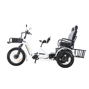 Nuevo Triciclo Eléctrico SOBOWO Polar Bear 2026, Batería de 48V 132AH, Carga de 200KG, Motocicleta de 3 Ruedas para Adultos - Product Image 1