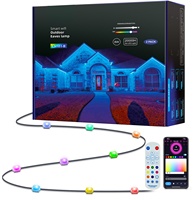 Vente en gros de décoration de Noël étanche IP67 pour l'extérieur télécommande de l'application intelligente wifi RGB Eave Light rgbw led pixel point