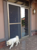 Puerta Corredera de Aluminio y Vidrio Front Armos Security con Rejilla, Acabado con Recubrimiento en Polvo, Certificación ISO9001, Herrajes HOPO
