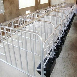 Caja <span class=keywords><strong>de</strong></span> gestación galvanizada duradera para equipo <span class=keywords><strong>de</strong></span> granja, barra <span class=keywords><strong>de</strong></span> posicionamiento <span class=keywords><strong>de</strong></span> Sow - Product Image 4