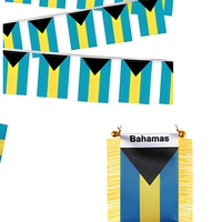 Drapeau brésilien personnalisé en polyester, imprimé numériquement, respectueux de l'environnement, avec mât en bois, pour les événements sportifs