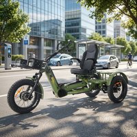 Vélo électrique à batterie au lithium 48V pour adultes, modèle 2026, fabriqué en Chine, avec pneus larges de 20 pouces, tricycle à neige à trois roues avec pédales