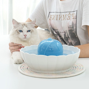 <strong>Cat</strong> Water Dispenser Pet Bowl Feeder <strong>Ceramic</strong> Water Bottle Automatic Drinking <strong>Fountain</strong> - Product Image 5
