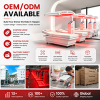 Panel de Terapia de Luz LED de Fotobiomodulación de Doble Longitud de Onda 660nm 850nm para Cuerpo Completo, Dispositivo LED de Apoyo al Bienestar para Spa y Salón en Casa