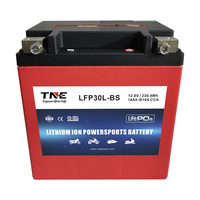 Batería Líquida para Motocicleta TNE LFP30L-BS 12V 18Ah 810CCA con Pantalla LCD, 2000 Ciclos, para Motocross Davidson