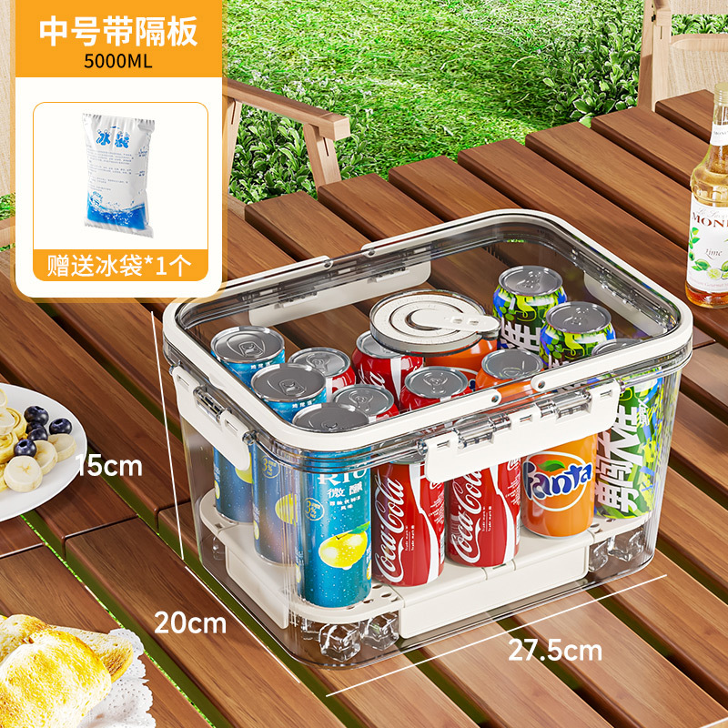 Food storage container (with handle) - Medium size "ice pack"