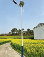 Lampadaire solaire LED extérieur étanche IP65 avec panneau solaire séparé pour éclairage routier, autoroute et village