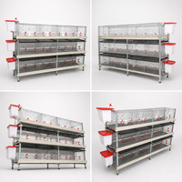 Équipement d'élevage de poulets de chair automatique moderne, cage à poulets de chair de type H pour le Nigéria