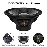 Haut-parleur de graves néodyme 21 pouces 5000W haute puissance pour système audio professionnel de sonorisation de scène
