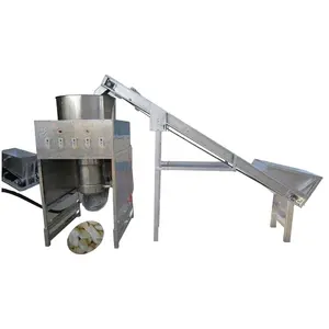 Best price garlic powder processing plant