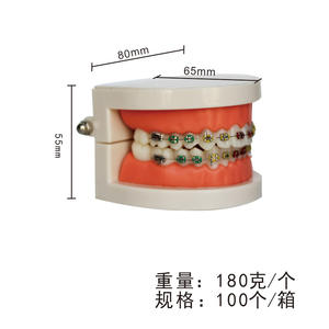 Modèle dentaire orthodontique pour exposition, alimentation électrique, matériau en résine avec comparaison métal-céramique, brackets et archwires - Product Image 2