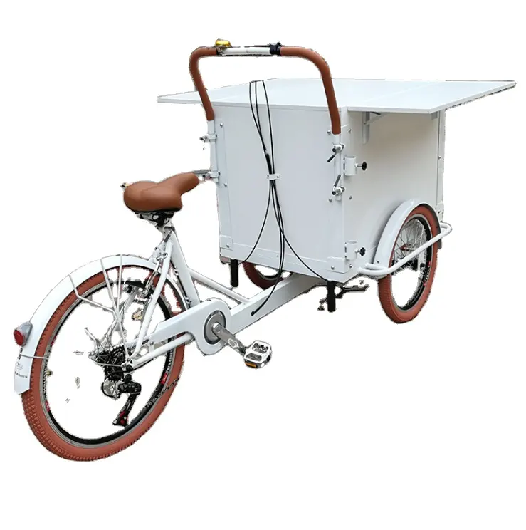 OEM 상업 거리 핫도그 전기 식품 카트 커피 자전거 전기 세발 자전거 커피 판매