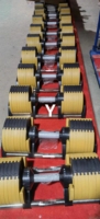 Ensemble de plaques de poids réglables en caoutchouc 24kg-40kg, plusieurs niveaux de poids pour l'entraînement de force à une main