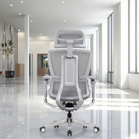 Chaise de bureau exécutive moderne hautement réglable en maille, ergonomique, avec base pivotante en métal et aluminium, roulettes en PA/PU, inclinaison à 4 positions