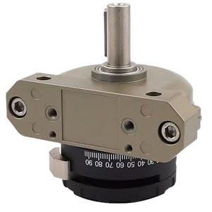 Cilindro Rotatorio Neumático Hermético FESTOO, Estructura Digital, Cuerpo de Aluminio, Componentes de Bomba de Motor 13467 DSR-40-180-P DSRL - Product Image 3
