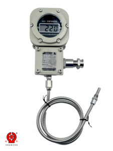 Ex d IIC T6 Flameproof Digital Temperature Gauge Battery Powered Pt100 RTD IP66 Stainless Steel <strong>Probe</strong> - Product Image 1