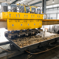 Fabricant de machines Anyth Stone Polisseuse de dalles Machine à polir les pierres marbre multi-12 têtes