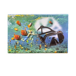 Asy Diving Goggle Case One Size Portable <b>Plastic</b> <b>Frame</b> Storage Box For Swim Dive Gear - Product Image 1