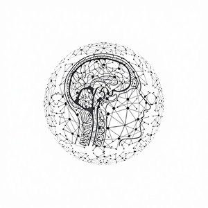 แผนผังสมองรุ่น 822fb106-4467-dff7-41d3-ffbd88bae40b - Product Image 1