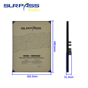 SURPASS IS20 Nuovo Arrivo Altoparlante da Incasso Verniciabile 20W Wireless Full-Range 150-20KHz per Sistema Audio Domestico e Musica di Sottofondo - Product Image 6