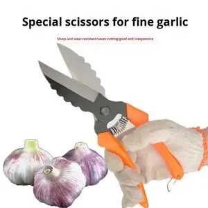 Forbici agricole <span class=keywords><strong>per</strong></span> aglio cipolle verdi e zenzero manico in plastica resistente <span class=keywords><strong>per</strong></span> tagliare radici e bulbi di aglio - Product Image 3