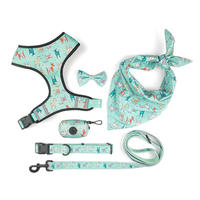 Ensemble de harnais pour chien, 6 pièces, néoprène, impression par sublimation, réglable, anti-traction, kit de promenade