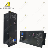 Mini module amplificateur de haut-parleur actif, w, dsp, audio professionnel, module amplificateur de puissance active
