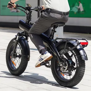 새로운 20 인치 지방 타이어 750w 산악 자전거 전자 접이식 전기 자전거 먼지 전자 자전거 도로 도시 hyrid ebike 전기화물 자전거